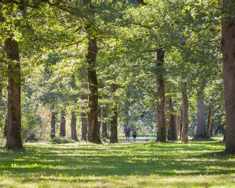 bois de boulogne la nuit|Visiter le Bois de Boulogne